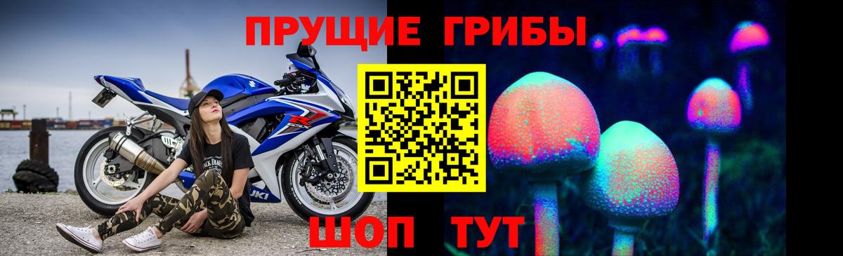 Псилоцибиновые грибы Psilocybine cubensis  Галлюциногенные грибы Psilocybe  Дюртюли  Вход с VPN 